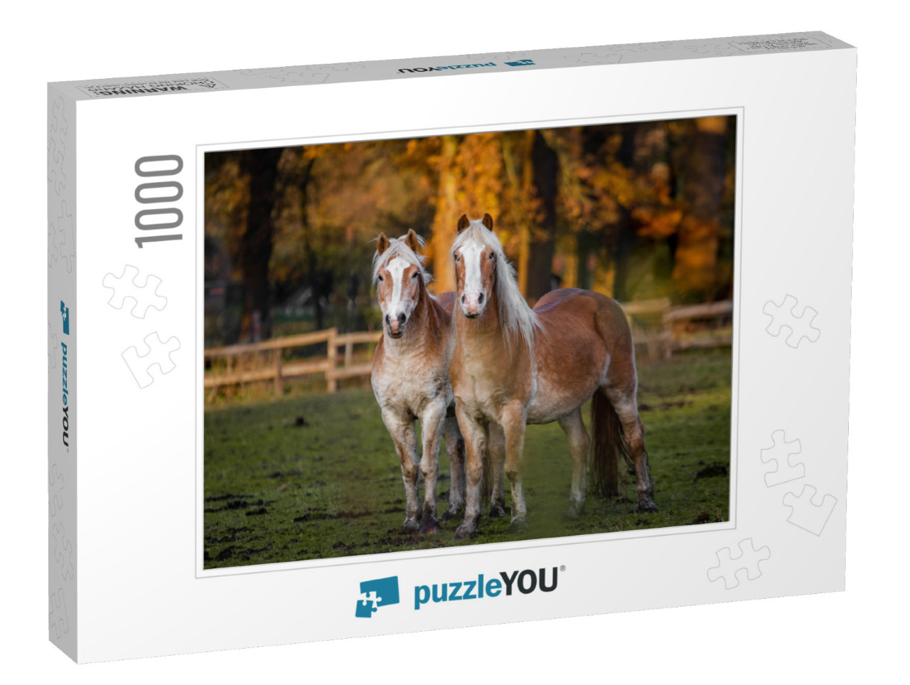 Two Horses Standing in Meadow with Autumn Background... Jigsaw Puzzle with 1000 pieces