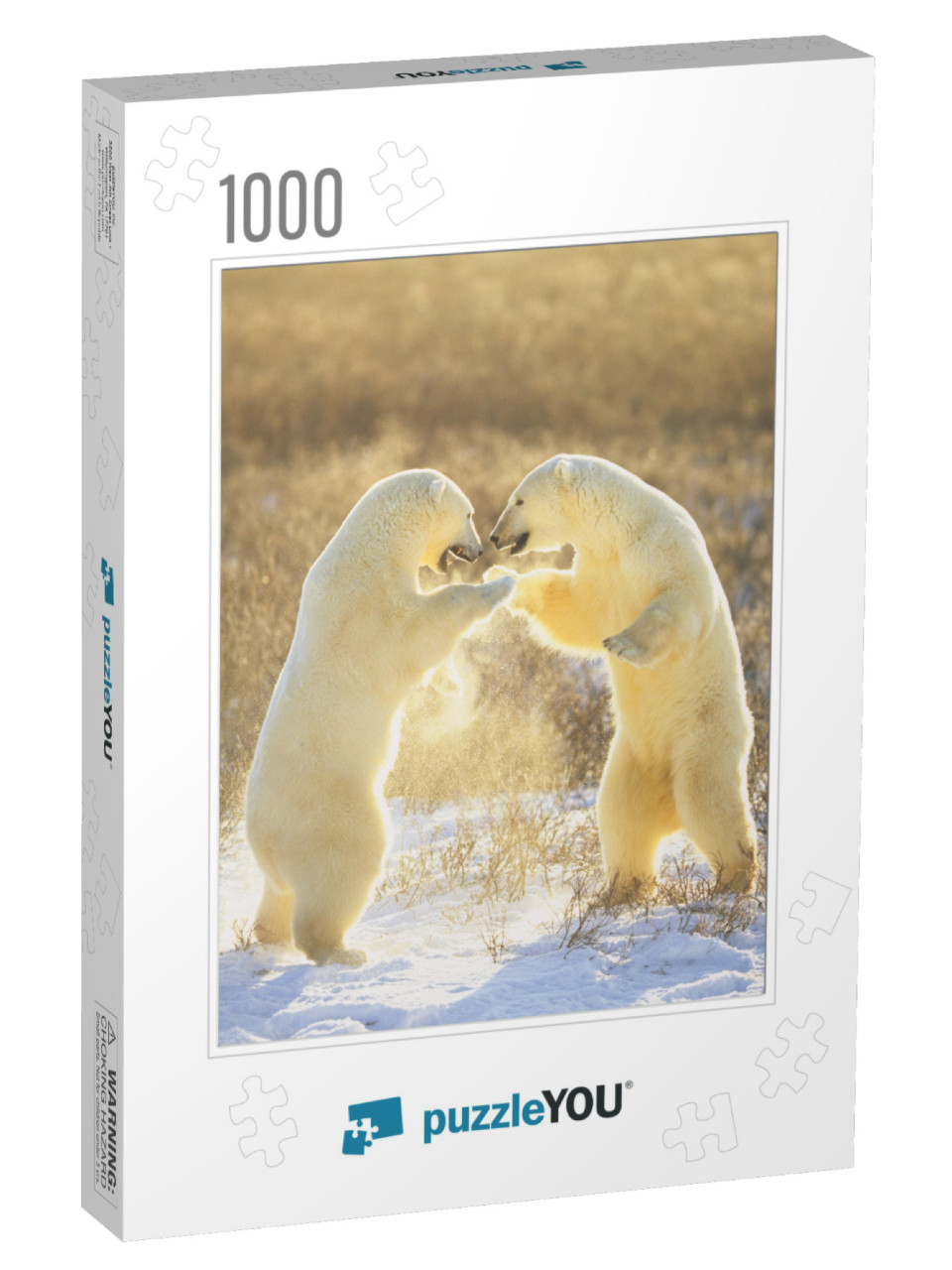 Polar Bears from Canada. Polar Bears Play Fight. Polar Be... Jigsaw Puzzle with 1000 pieces