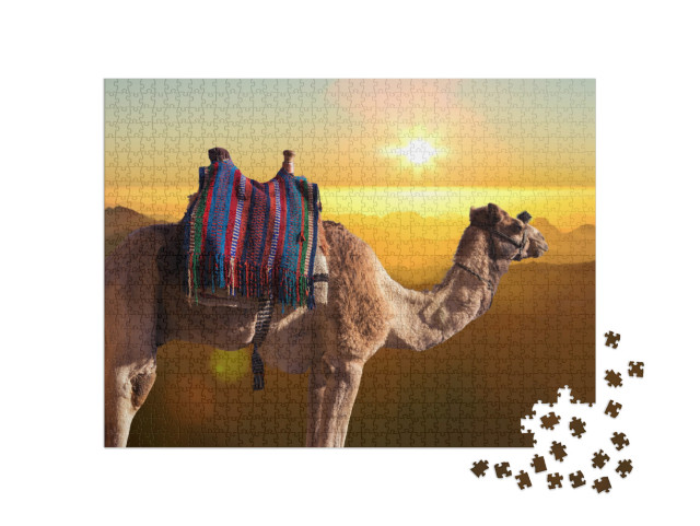 Dromedar Camel on the Background of the Mountain of St. M... Jigsaw Puzzle with 1000 pieces