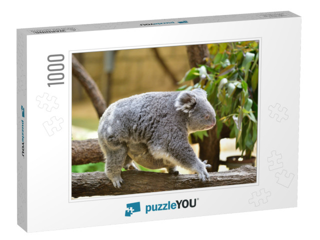 It is a Parent & Child of Koala... Jigsaw Puzzle with 1000 pieces