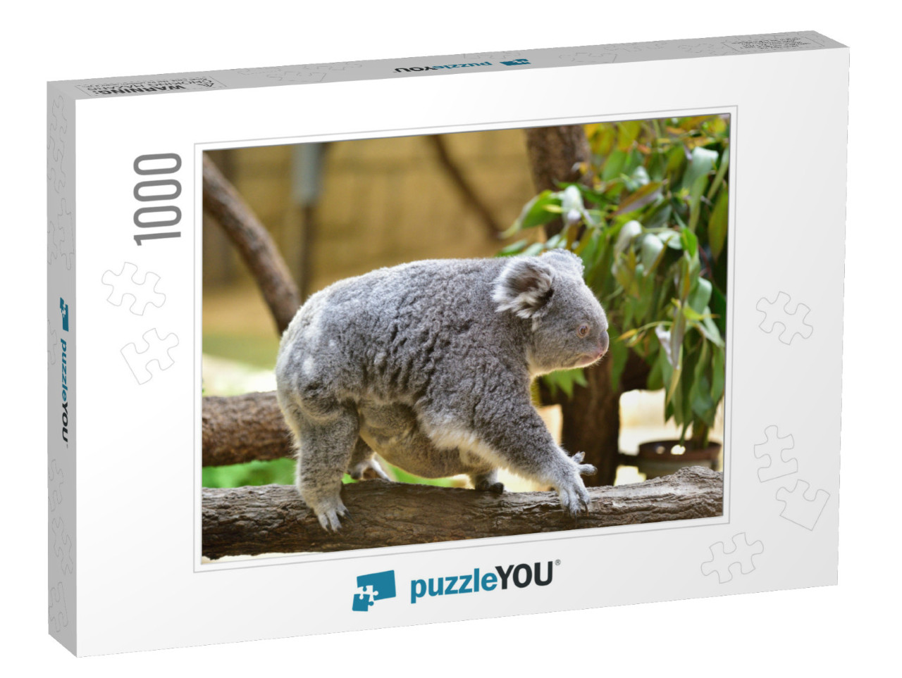 It is a Parent & Child of Koala... Jigsaw Puzzle with 1000 pieces