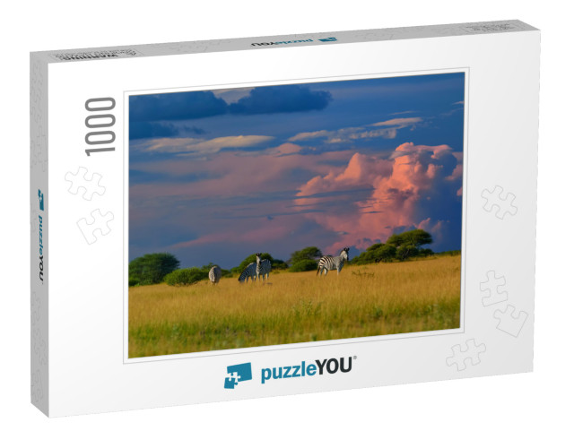 African Landscape. Herd of Plains Zebra, Equus Quagga, St... Jigsaw Puzzle with 1000 pieces