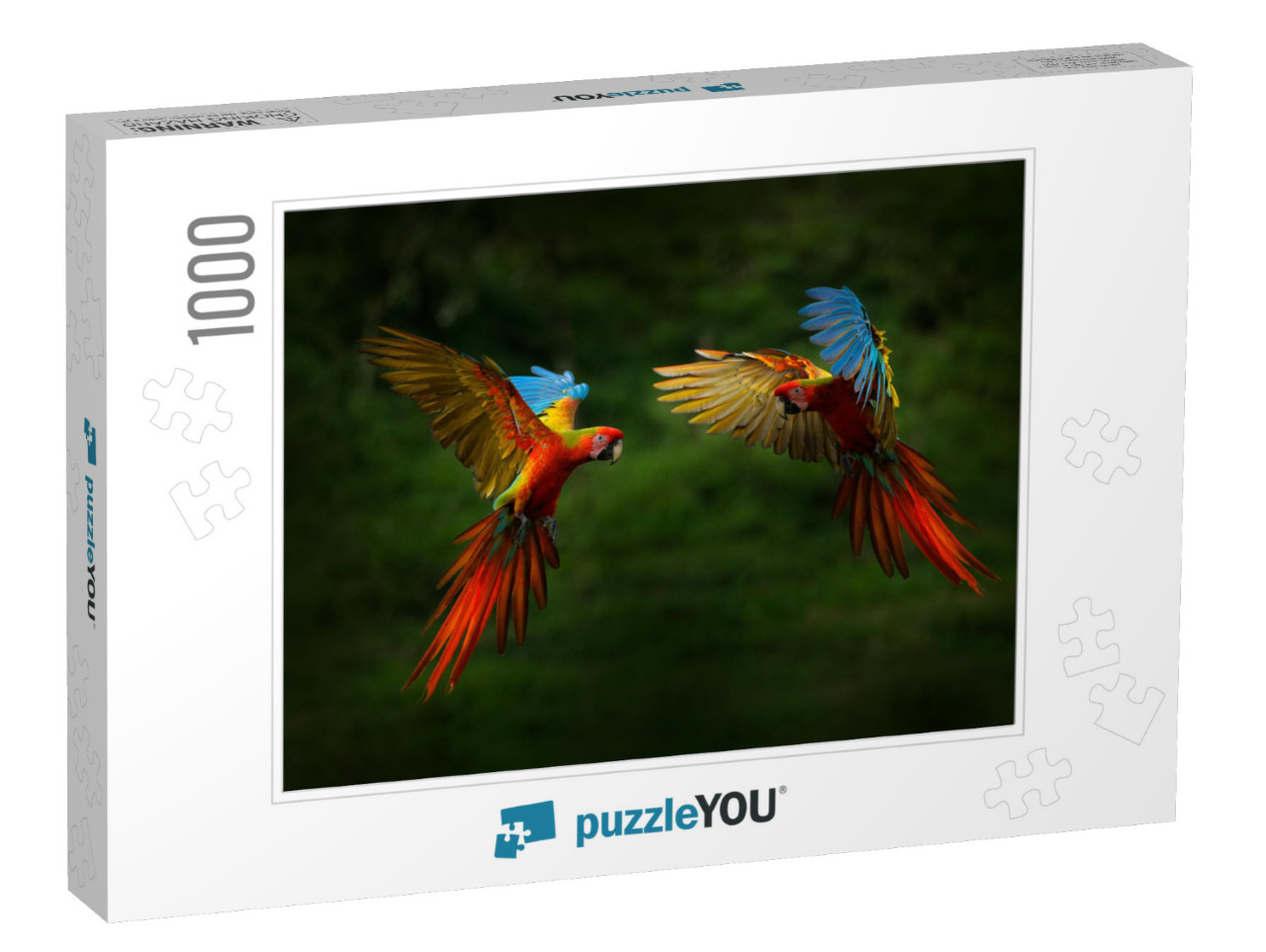 Hybrid Parrots in Forest. Macaw Parrot Flying in Dark Gre... Jigsaw Puzzle with 1000 pieces