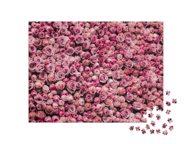 Flowers Wall Background with Amazing Roses... Jigsaw Puzzle with 1000 pieces