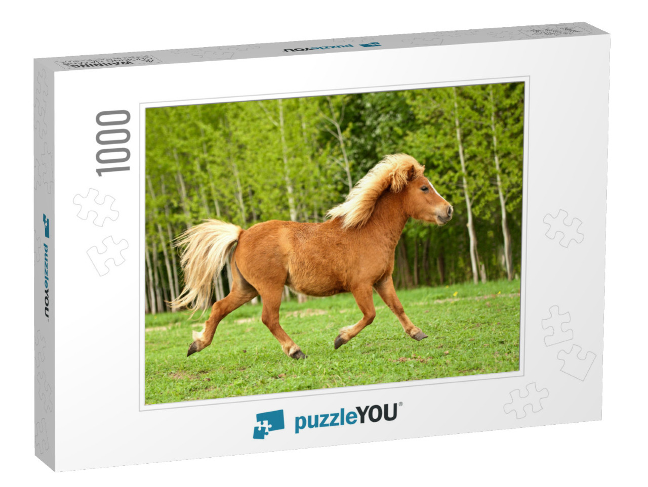 Cute Red Pony Running Trot At Field in Summer... Jigsaw Puzzle with 1000 pieces