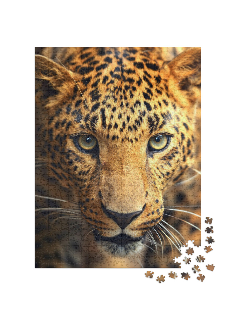 Leopard Portrait... Jigsaw Puzzle with 1000 pieces