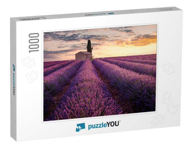 France, Provence, Valensole. a Little House Into Lavender... Jigsaw Puzzle with 1000 pieces