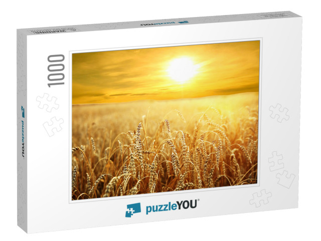 Backdrop of Ripening Ears of Yellow Wheat Field on the Su... Jigsaw Puzzle with 1000 pieces