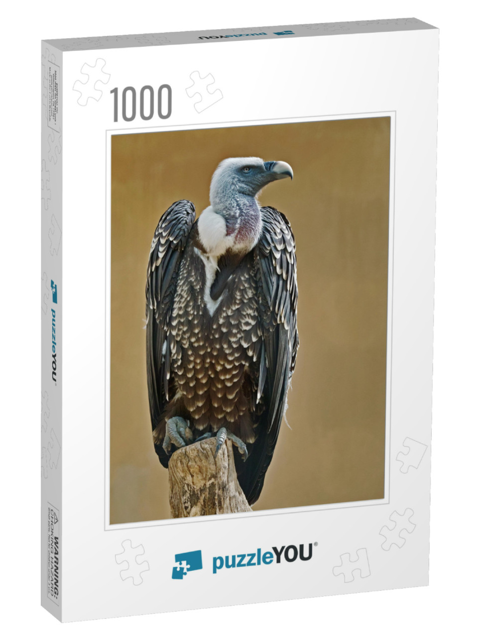 Specimen of Rueppells Griffon Vulture, Gyps Rueppelli... Jigsaw Puzzle with 1000 pieces