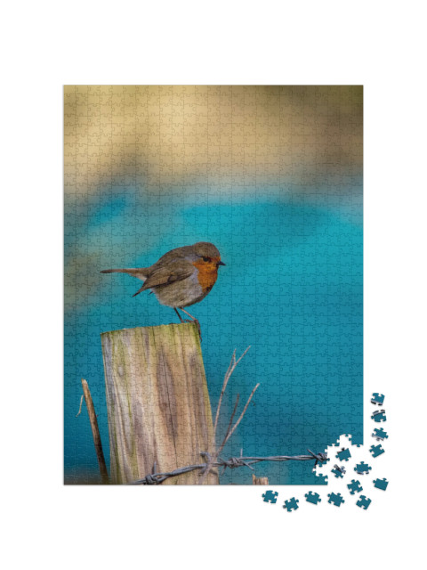 Robin on a Fence Post with Blue Background... Jigsaw Puzzle with 1000 pieces