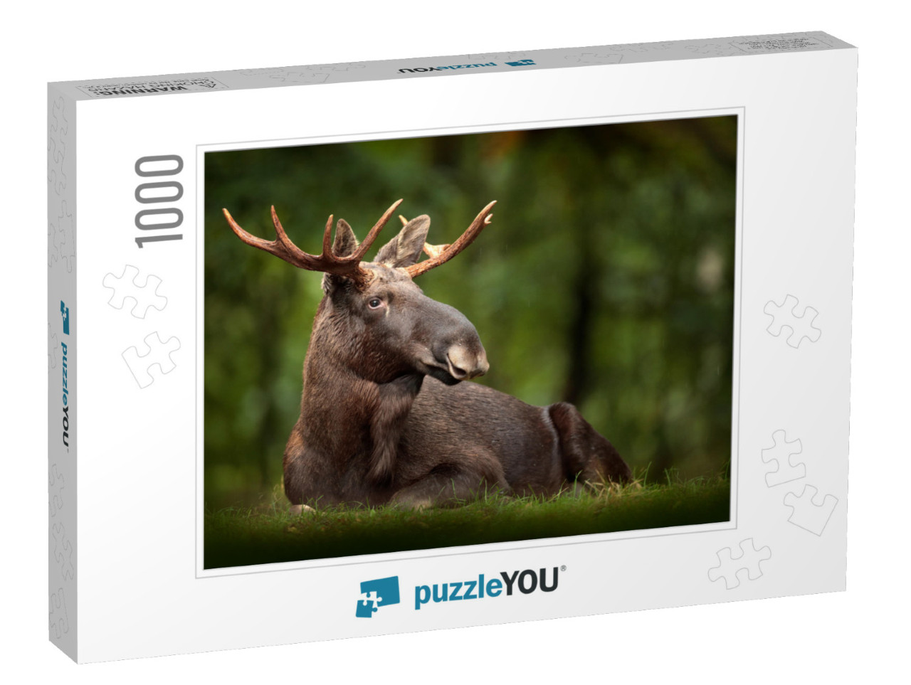 Elk or Moose, Alces Alces in the Dark Forest During Rainy... Jigsaw Puzzle with 1000 pieces