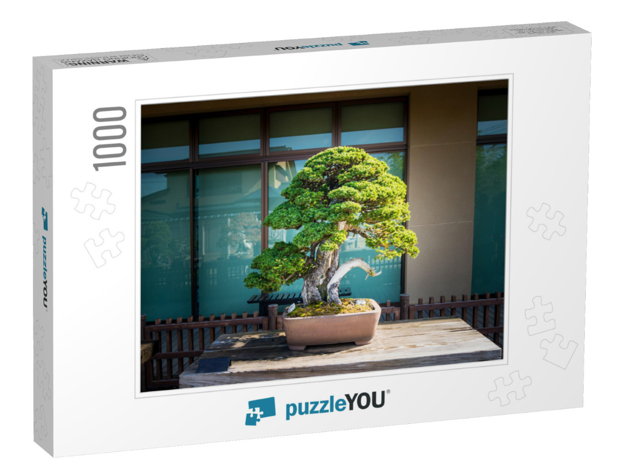 Japanese Bonsai Tree in Omiya Bonsai Village At Saitama... Jigsaw Puzzle with 1000 pieces