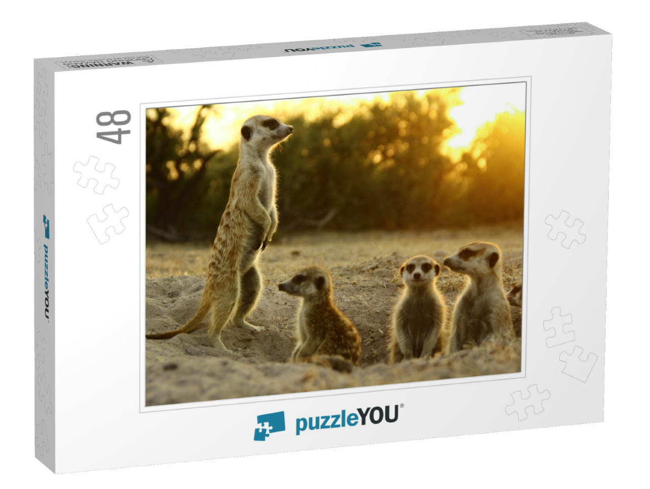 Meerkat the Most Funny Animal. Namibia Wild Life... Jigsaw Puzzle with 48 pieces