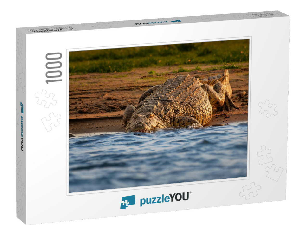 Nile Crocodile - Crocodylus Niloticus Large Crocodilian N... Jigsaw Puzzle with 1000 pieces