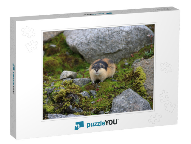 Norwegian Lemming Jotunheimen Norway... Jigsaw Puzzle