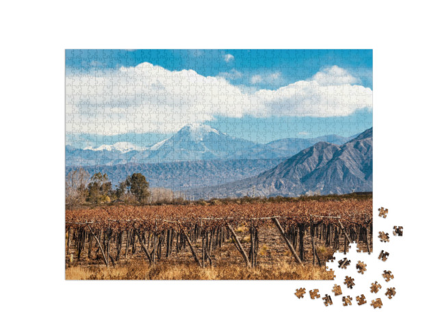 Volcano Aconcagua & Vineyard. Aconcagua is the Highest Mo... Jigsaw Puzzle with 1000 pieces