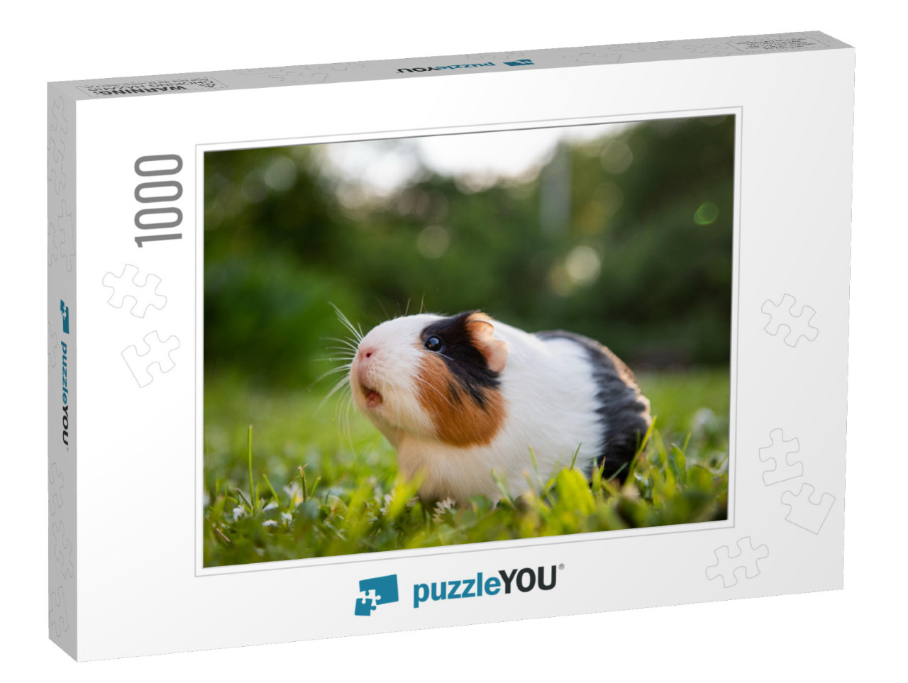 Guinea Pig in a Meadow... Jigsaw Puzzle with 1000 pieces