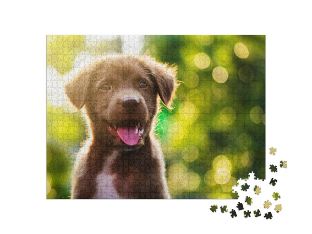 Cute Brown Smile Happy Labrador Retriever Puppy Against F... Jigsaw Puzzle with 1000 pieces