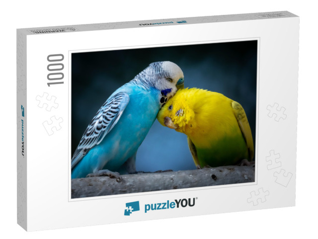 Portrait of Two Cute Cuddling Budgies Perched on Branch w... Jigsaw Puzzle with 1000 pieces