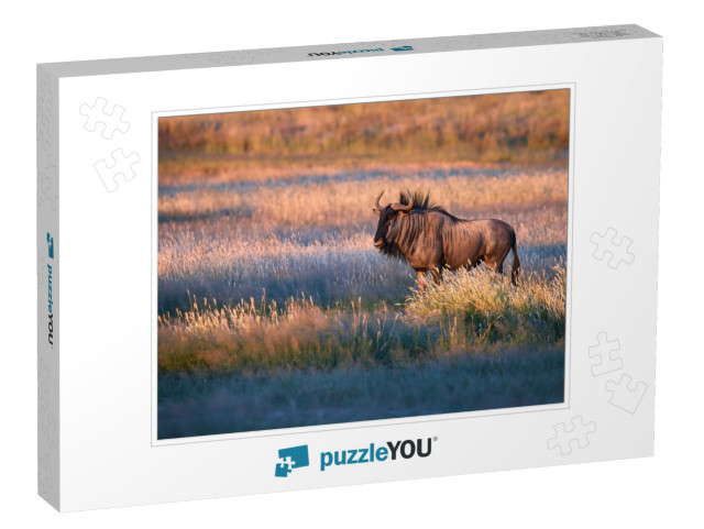 Blue Wildebeest, Connochaetes Taurinus, Large Antelope Wa... Jigsaw Puzzle