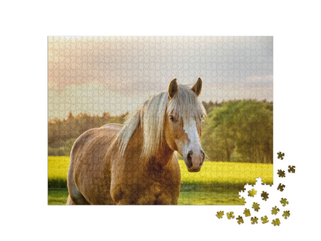 Horse in the Golden Light. Stetice, Czechia, Spring 2018... Jigsaw Puzzle with 1000 pieces