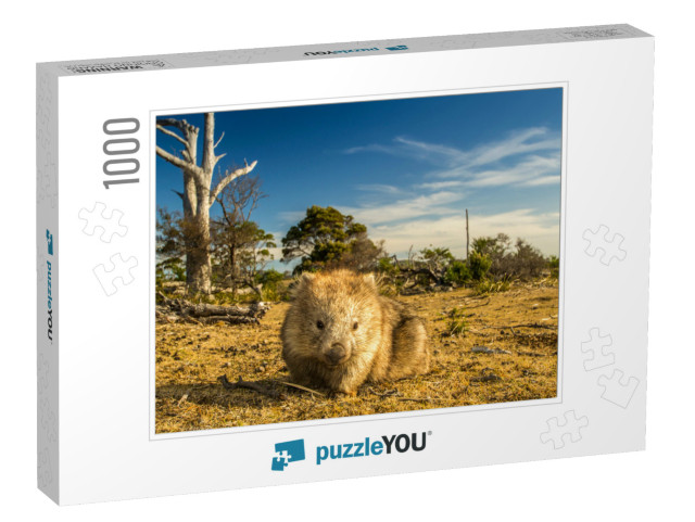 Maria Island, Tasmania, Australia- March 2019 Wombat Vomb... Jigsaw Puzzle with 1000 pieces