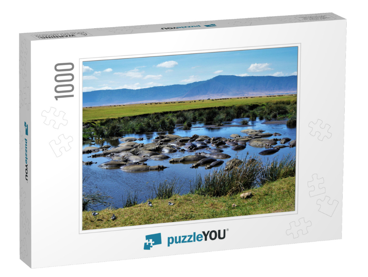 Hippo Pool, Ngorongoro Crater, Tanzania... Jigsaw Puzzle with 1000 pieces