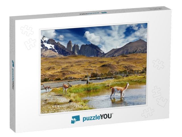 Guanaco in Torres Del Paine National Park, Patagonia, Chi... Jigsaw Puzzle