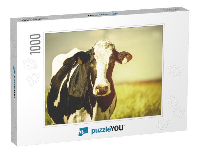 Dairy Cow At Countryside, Beautiful Sky in the Background... Jigsaw Puzzle with 1000 pieces