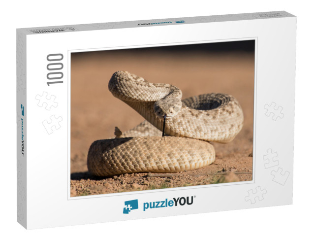 Young Diamondback Rattlesnake... Jigsaw Puzzle with 1000 pieces