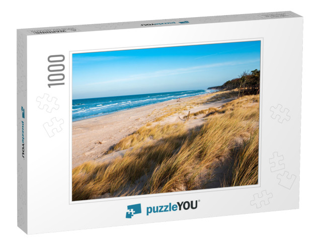 Coastal Dunes by the Baltic Sea, Darss Peninsula, Germany... Jigsaw Puzzle with 1000 pieces