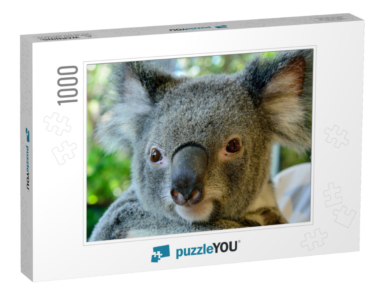 Portrait of Koala in Queensland, Australia... Jigsaw Puzzle with 1000 pieces