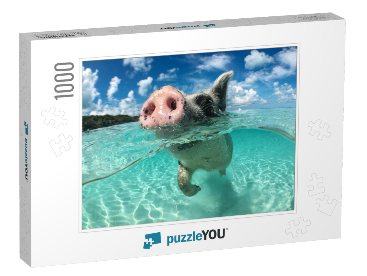 Wild, Swimming Pig on Big Majors Cay in the Bahamas... Jigsaw Puzzle with 1000 pieces