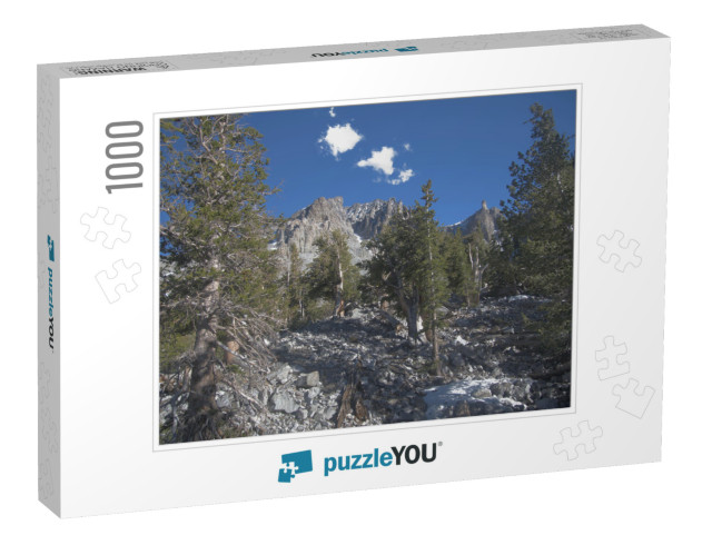 Bristlecone Pines in Great Basin National Park in Nevada_... Jigsaw Puzzle with 1000 pieces