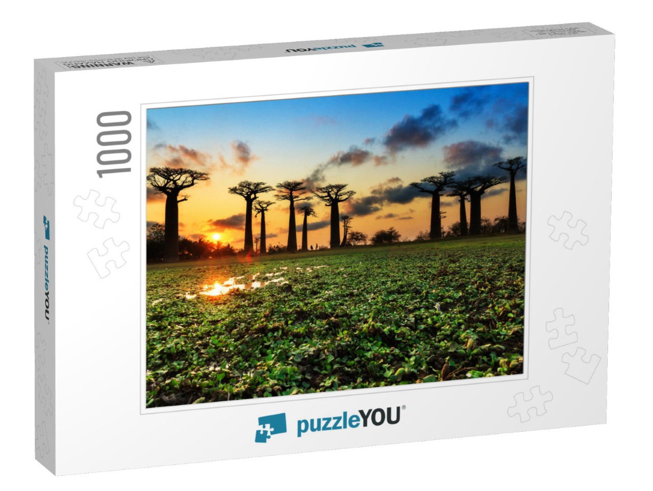 Beautiful Baobab Trees At Sunset At the Avenue of the Bao... Jigsaw Puzzle with 1000 pieces