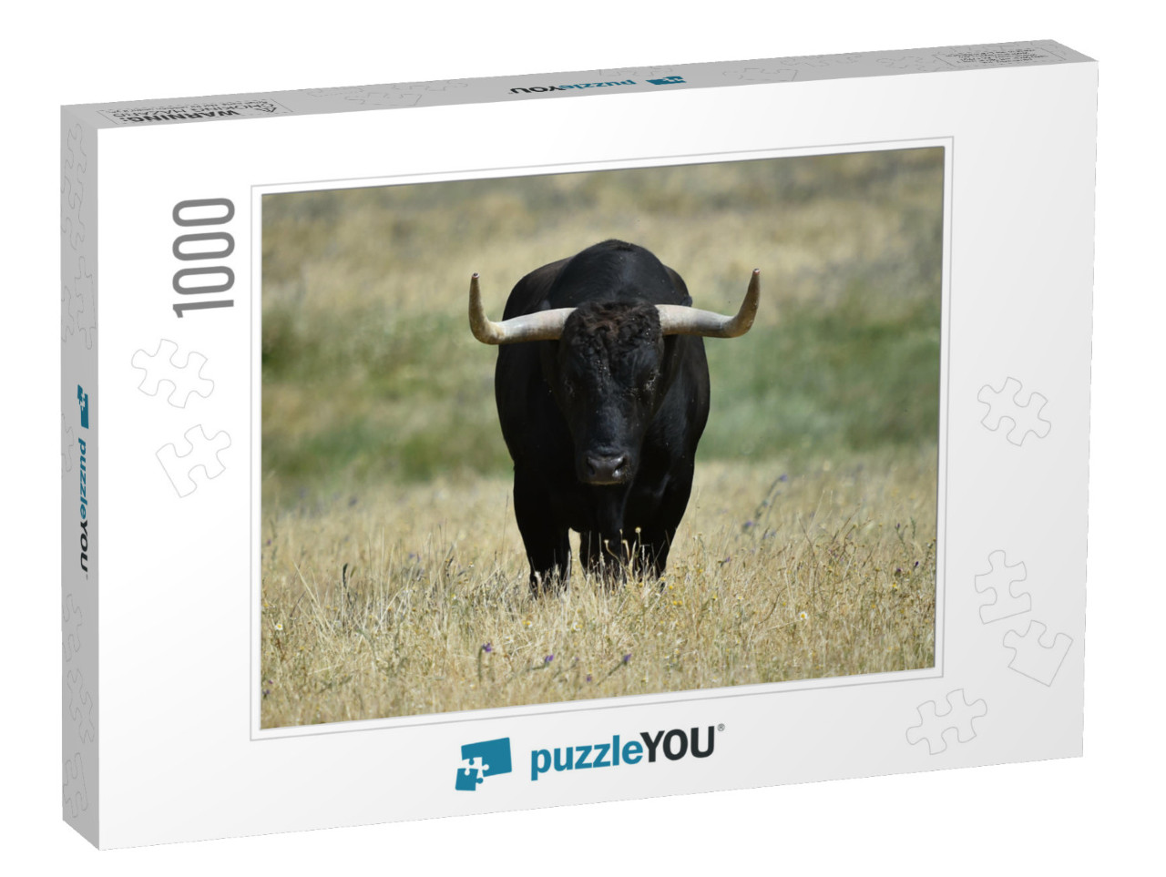 A Black Bull with Big Horns on the Field... Jigsaw Puzzle with 1000 pieces