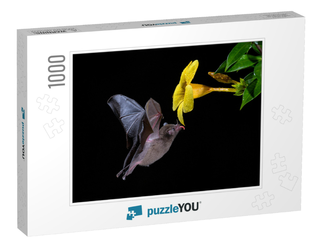 Pallass Long-Tongued Bat - Glossophaga Soricina, New Worl... Jigsaw Puzzle with 1000 pieces