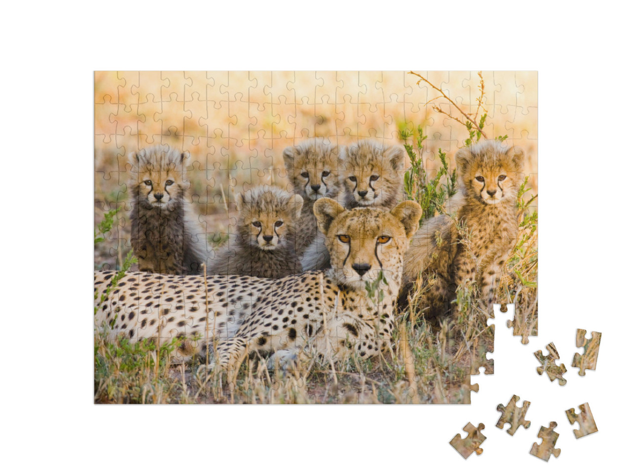 Mother Cheetah & Her Cubs in the Savannah. Kenya. Tanzani... Jigsaw Puzzle with 200 pieces