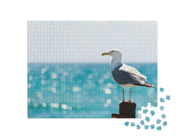 The Seagull Sits on a White Fence. Wings of a Bird... Jigsaw Puzzle with 1000 pieces