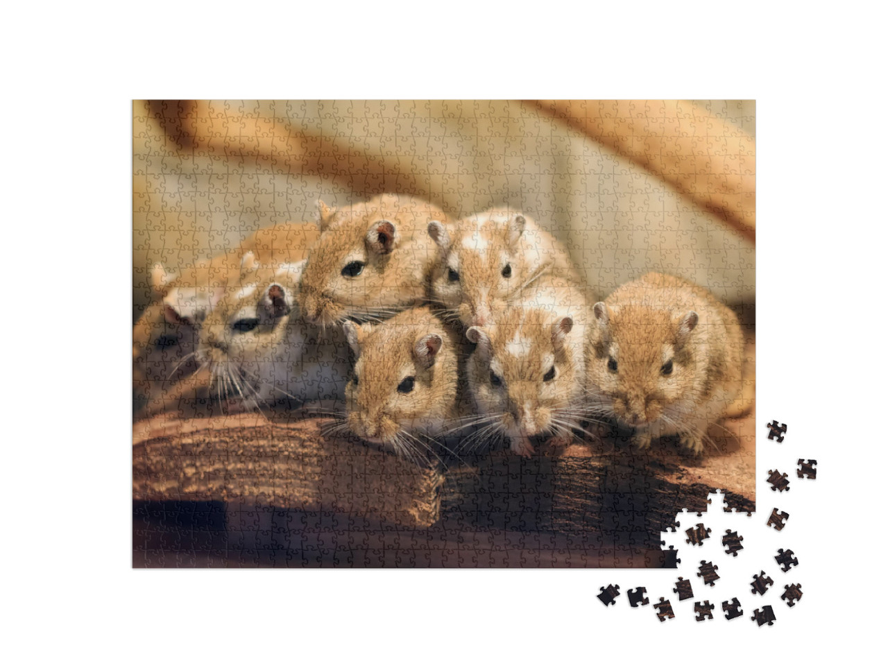 Beautiful Close Up a Cute Family of Mongolian Gerbil or M... Jigsaw Puzzle with 1000 pieces