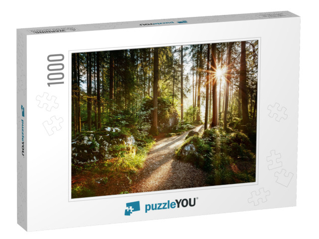 Magical Scenic & Pathway Through Woods in the Morning Sun... Jigsaw Puzzle with 1000 pieces