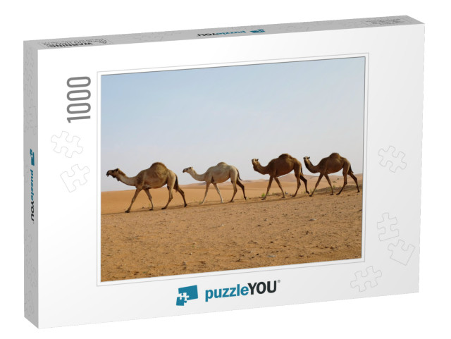 Line of Dromedary Camels Crossing the Arabian Desert in R... Jigsaw Puzzle with 1000 pieces