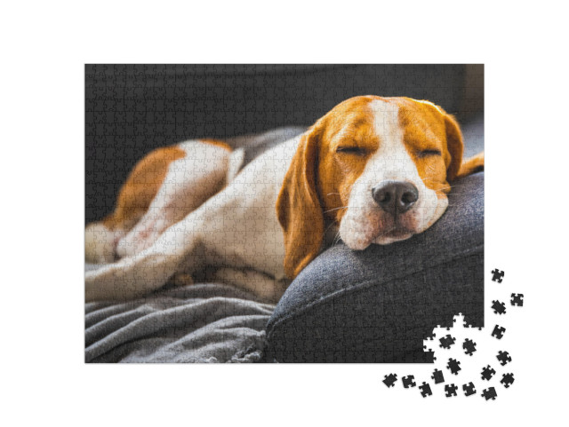 Adorable Beagle Hound in Bright Interior Background. a Pe... Jigsaw Puzzle with 1000 pieces