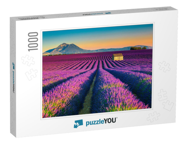 Majestic Colorful Lavender Fields Near Valensole Touristi... Jigsaw Puzzle with 1000 pieces