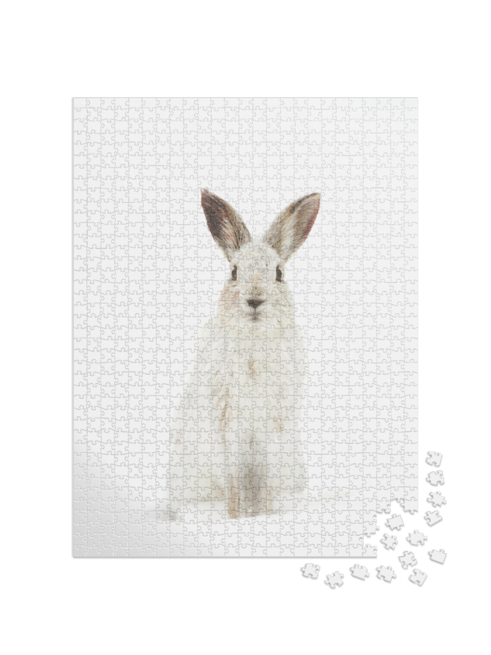 White Snowshoe Hare or Varying Hare Isolated on White Bac... Jigsaw Puzzle with 1000 pieces