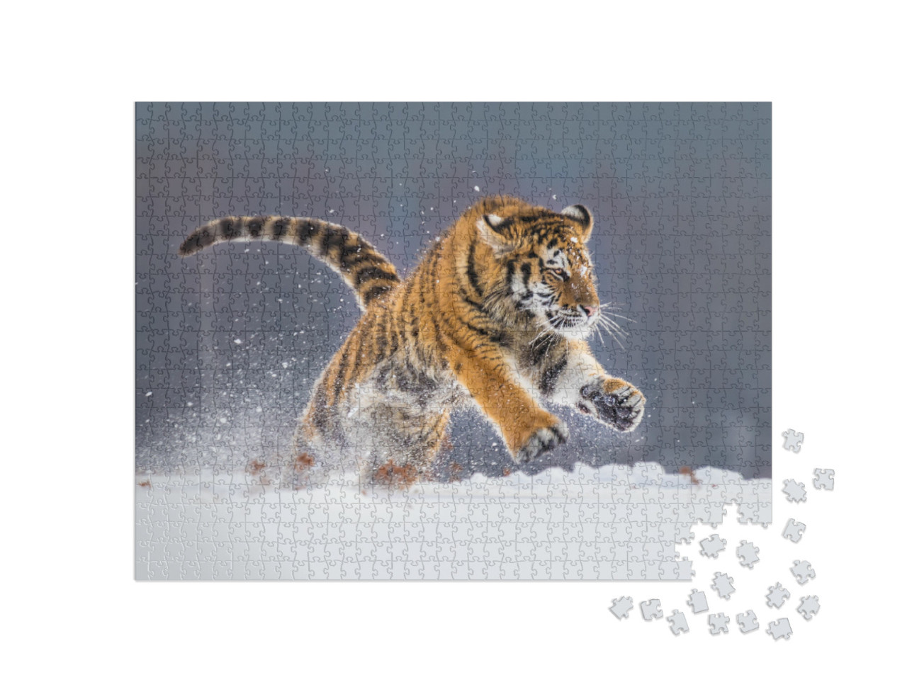 Siberian Tiger Running in Snow. Beautiful, Dynamic & Powe... Jigsaw Puzzle with 1000 pieces