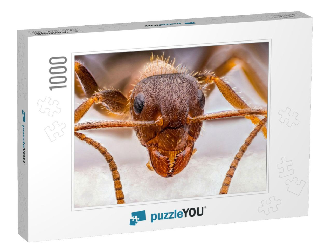 Tiny Red Ant Close Up... Jigsaw Puzzle with 1000 pieces