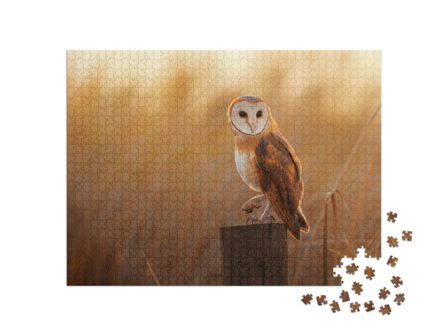 A Beautiful Barn Owl Perched on a Tree Stump... Jigsaw Puzzle with 1000 pieces