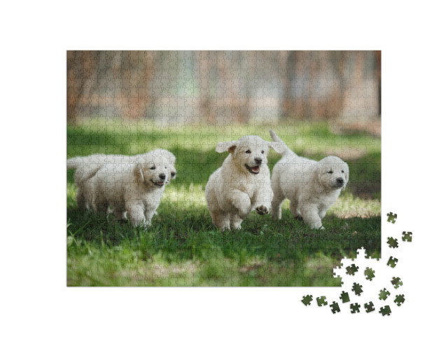 Little Puppies Golden Retriever, Running Around, Playing... Jigsaw Puzzle with 1000 pieces