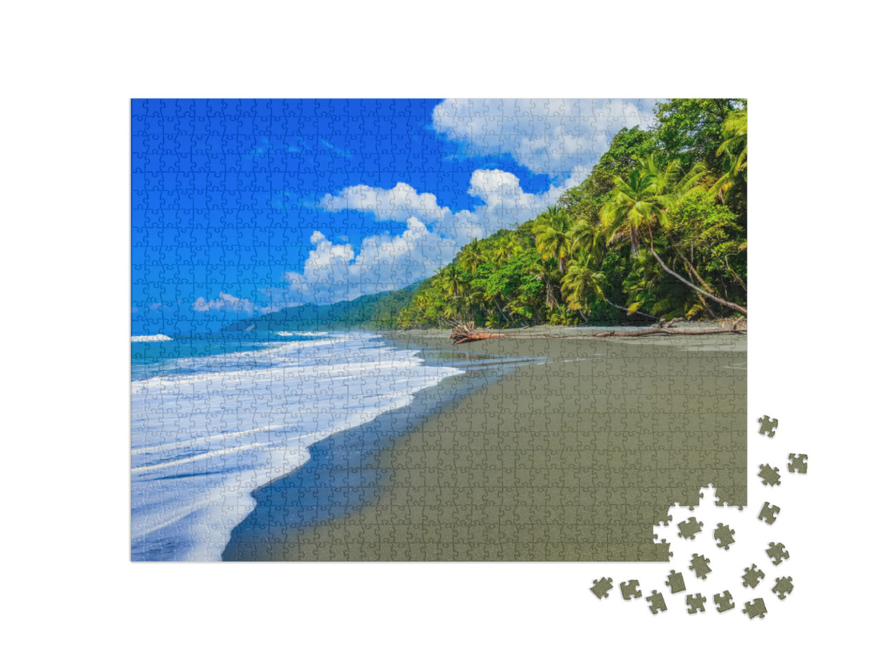 Wild Beach At Corcovado Rainforest in Costa Rica... Jigsaw Puzzle with 1000 pieces